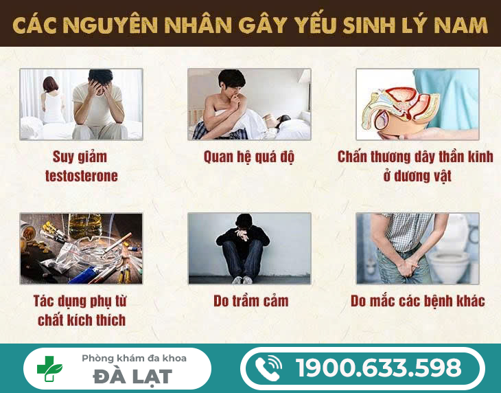 Hình ảnh minh họa